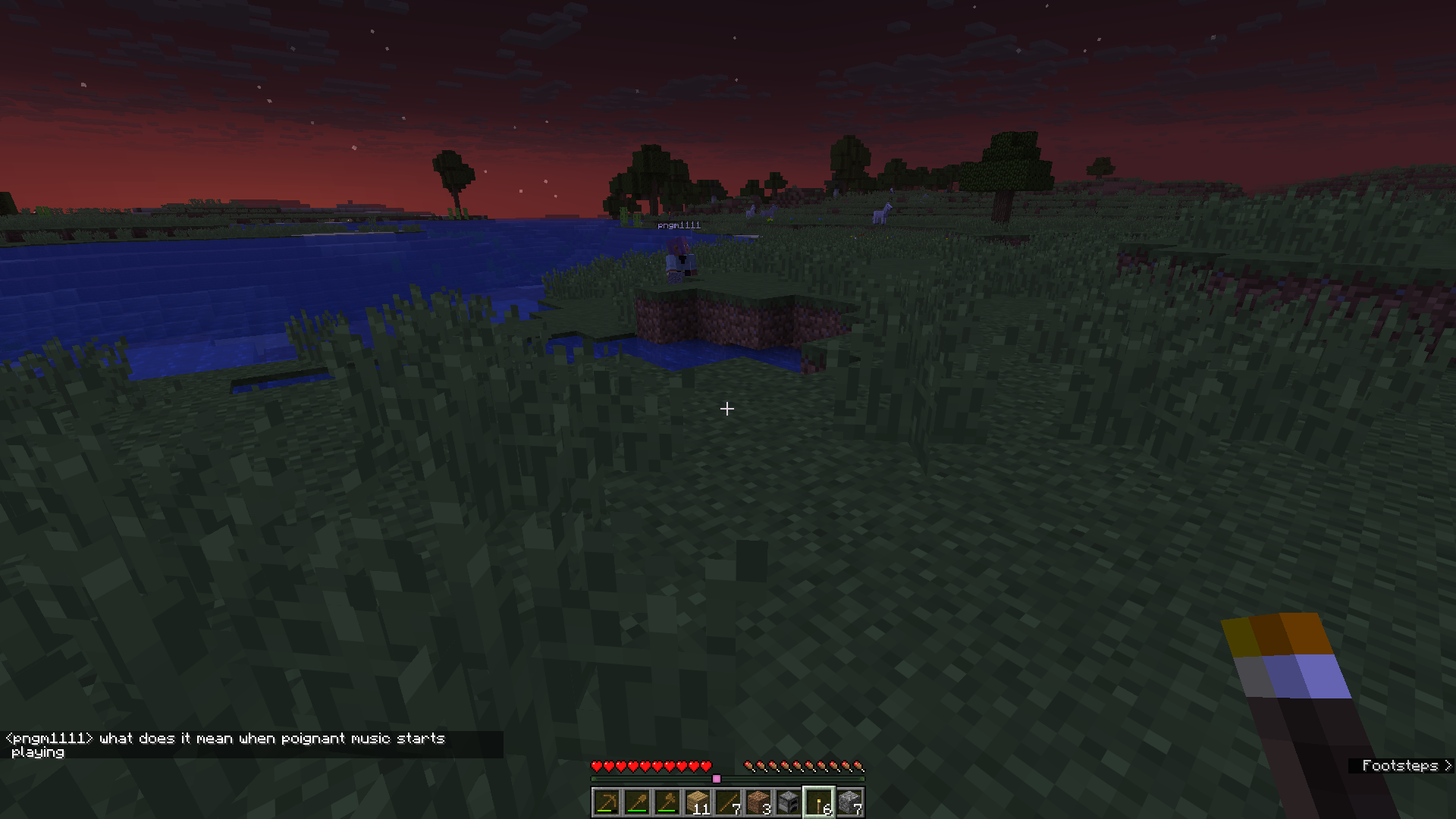 pngm, in plains biome at sunset, saying 'what does it mean when poignant music starts playing'